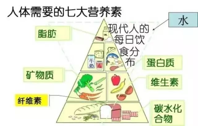 花費3萬塊找營養(yǎng)師咨詢減肥，梳理出的精華內(nèi)容都在這里！減肥必看！